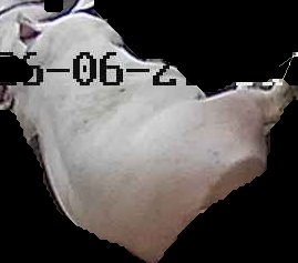 Crop