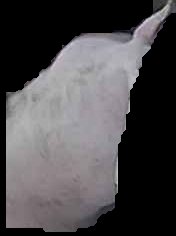 Crop