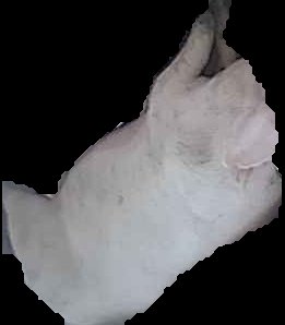 Crop