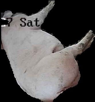Crop