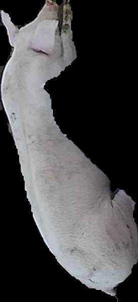 Crop