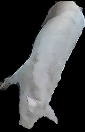 Crop