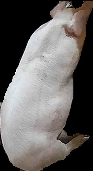 Crop