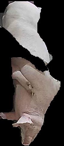 Crop