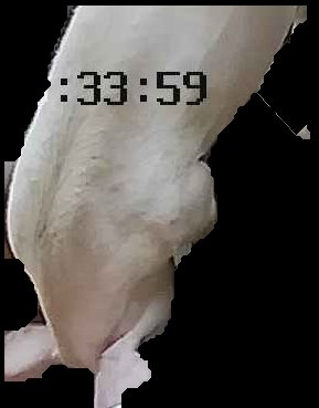Crop