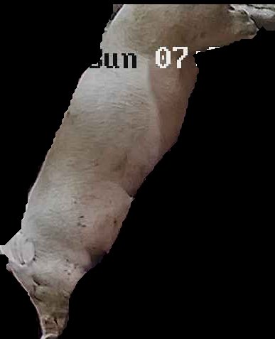 Crop
