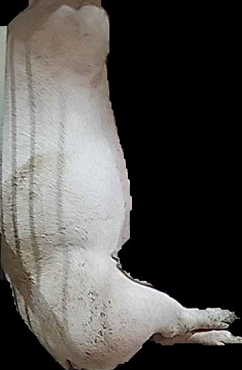 Crop