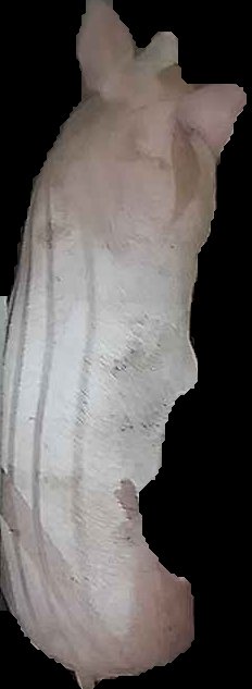 Crop