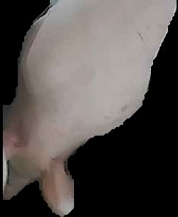 Crop
