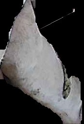 Crop