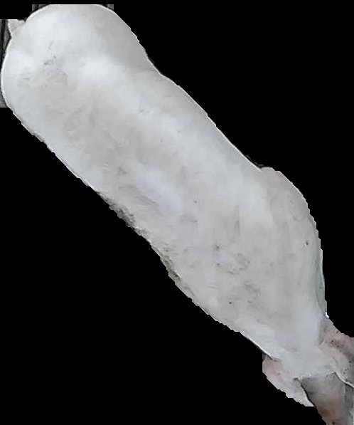 Crop