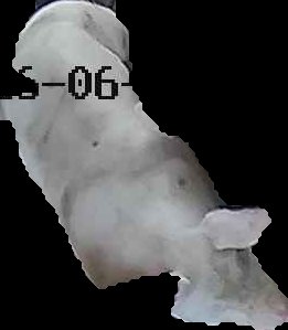 Crop