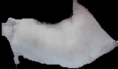 Crop
