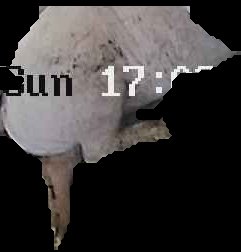 Crop