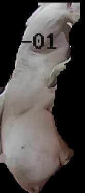 Crop