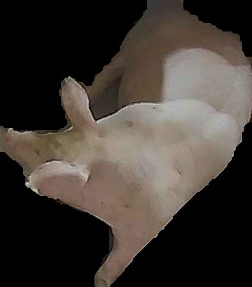 Crop