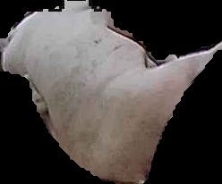 Crop