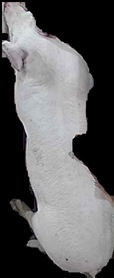 Crop
