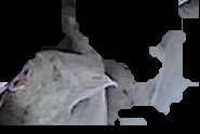 Crop