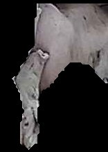 Crop