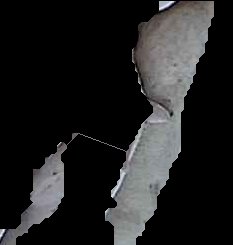 Crop