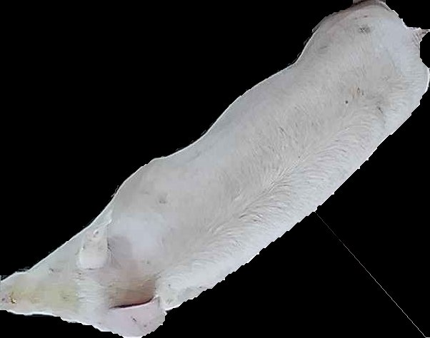 Crop