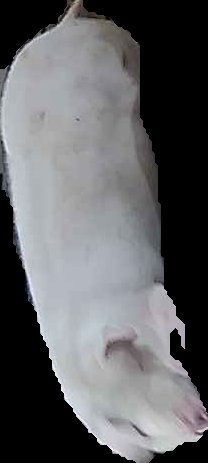 Crop