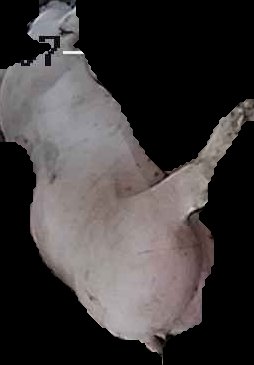 Crop