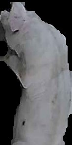 Crop