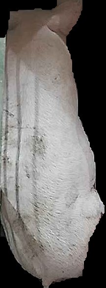 Crop