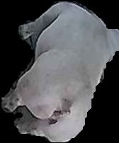 Crop