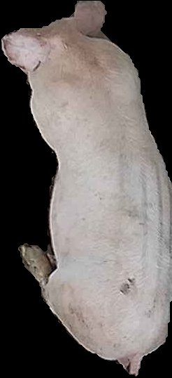 Crop
