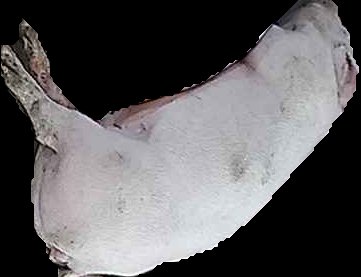 Crop