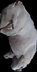 Crop