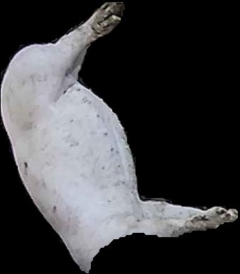 Crop