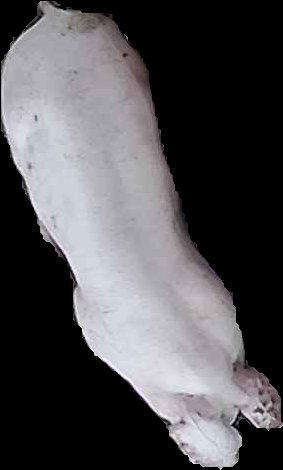 Crop
