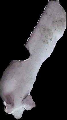 Crop