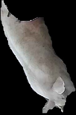 Crop
