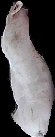 Crop