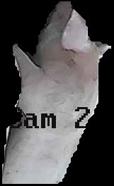 Crop