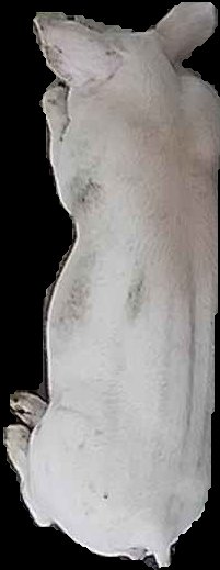 Crop