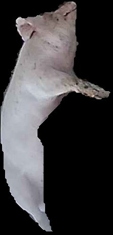 Crop