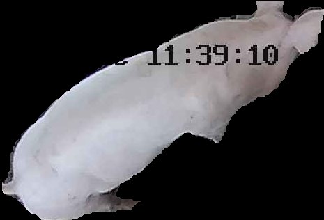 Crop