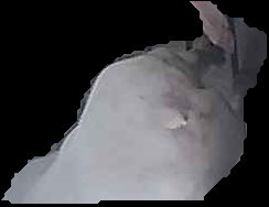 Crop