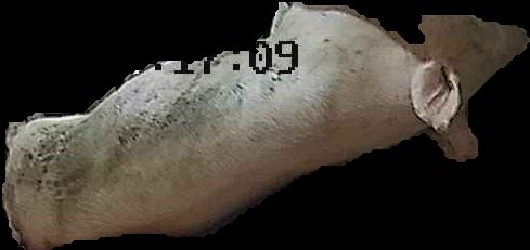 Crop