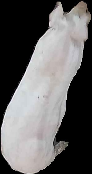 Crop