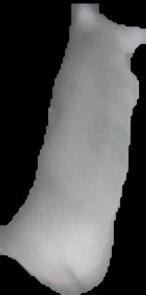 Crop