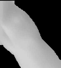 Crop