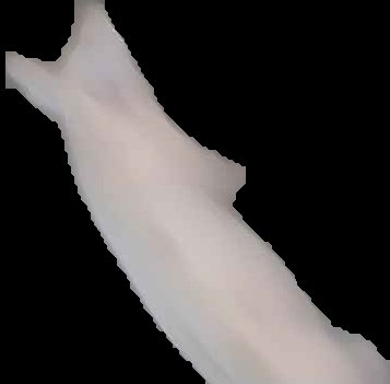 Crop