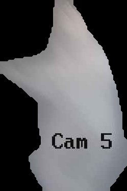 Crop